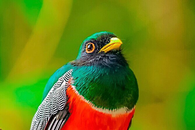 Full Day Bromeliad Forest Tour from Oaxaca - Final Thoughts