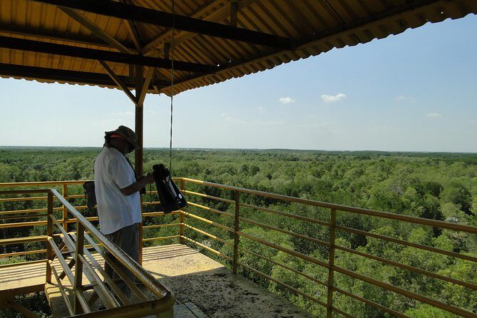 Full-day Can Gio Eco Escape And Wildlife Discovery - The Sum Up