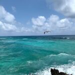 Full-Day Catamaran Cozumel Tour with Sky Snorkeling - Who Should Consider This Tour?