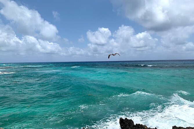 Full-Day Catamaran Cozumel Tour with Sky Snorkeling - Who Should Consider This Tour?