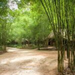 Full day Cu Chi Tunnels And Mekong Delta Guided Tour - The Overall Experience: Value and Authenticity