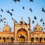Full day Delhi tour with a Local - Private Delhi Day Tour - A Deep Dive into the Experience