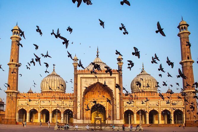 Full day Delhi tour with a Local - Private Delhi Day Tour - A Deep Dive into the Experience