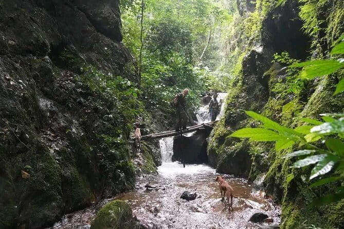 Full Day Doi Saket Hiking Tour - Who Will Love This Tour?