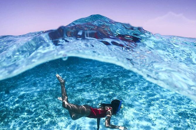 Full-Day El Cielo Snorkel Tour in Cozumel with Transportation and Lunch - What the Experience Means for You