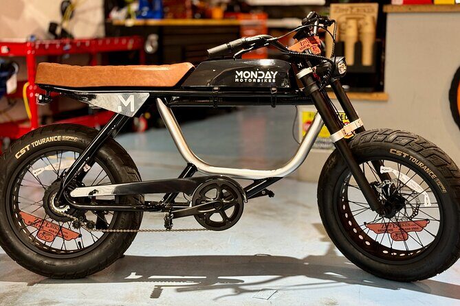 Full Day Electric Bike Rental in Galveston Texas - Who Is This Tour Best For?