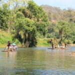 Full Day Elephant Bathing and Bamboo Rafting Tour in Chiang Mai - What We Love About This Tour