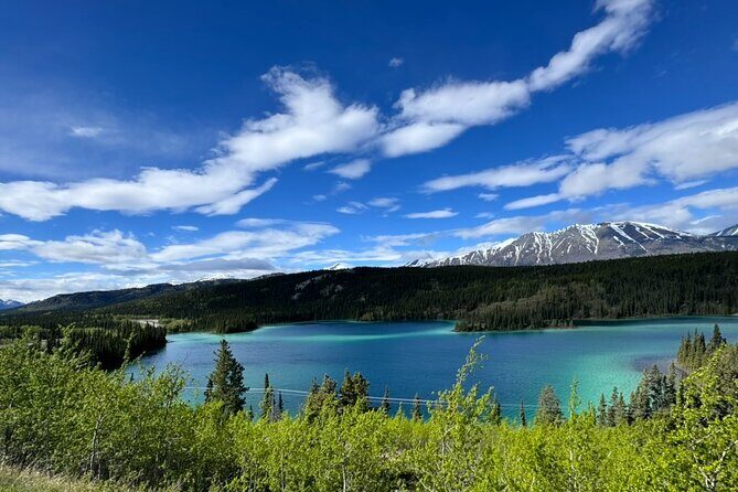 Full Day Emerald Lake Tour with or without Huskies - What Travelers Appreciate Most