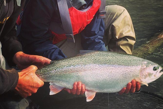 Full day fishing trips - Who Will Love This Tour?