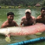 Full-Day Freshwater Lake Resort Fishing in Phang Nga - Who Should Consider This Tour?
