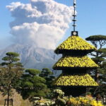 Full-Day Gastronomic Kagoshima Adventure by Private Vehicle - The Sum Up