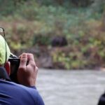 Full Day Grizzly Bear Tour to Toba Inlet - Who Should Consider This Tour?