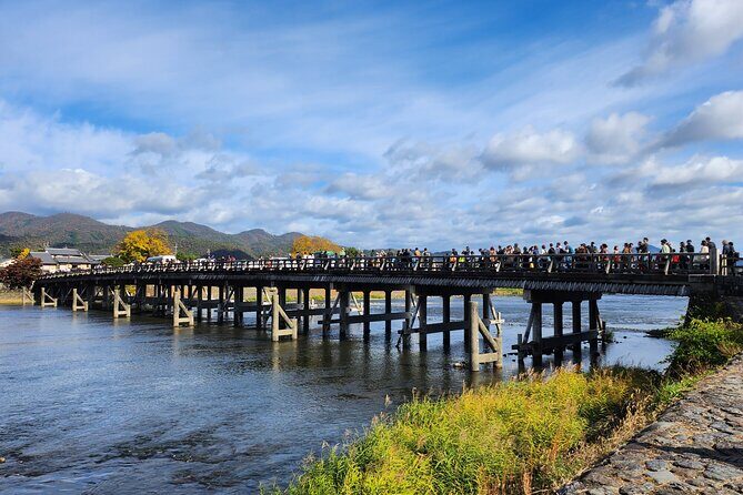 Full Day Guided Tour to Kyoto Arashiyama from Osaka by Van - Who Should Consider This Tour?