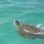 Full Day Guided Tour to Sian Ka'an (short way) - What We Love About This Tour