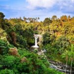 Full-Day Highlights and Best of Ubud Village - The Itinerary in Detail: Why Each Stop Matters