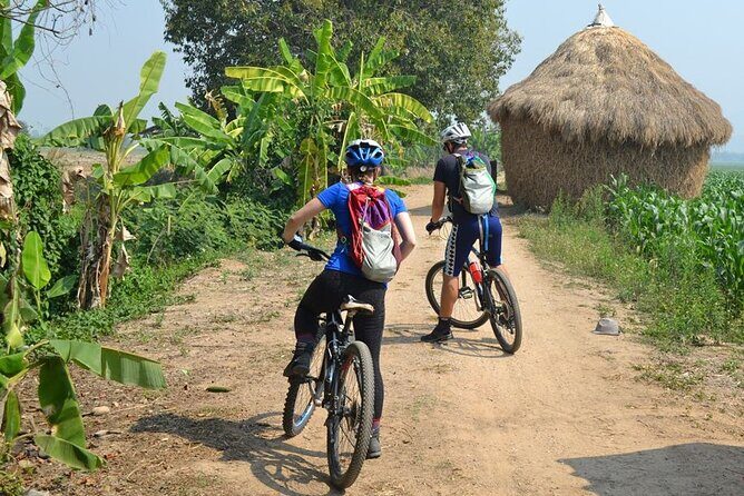 Full-Day Hike and Bike Tour from Chiang Mai - FAQ