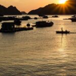 Full day hiking in Jungle of Cat Ba National park - Who Should Consider This Tour?