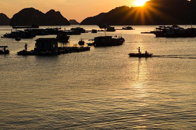 Full day hiking in Jungle of Cat Ba National park - Who Should Consider This Tour?