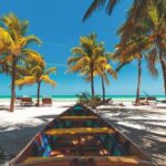 Full-Day Holbox Island Boat and Buggy Tour with Lunch - Detailed Review