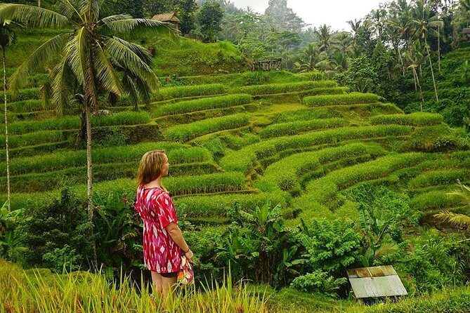 Full-Day in Bali: Private Design-Your-Own Tour - FAQ
