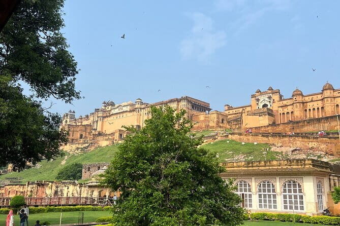 Full-Day Jaipur Highlights Explore the Pink City with local guide - Why This Tour Offers Great Value