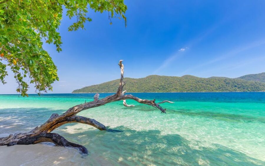 Full-Day Koh Lipe 5 points Snorkeling Experience with Lunch - What Makes This Tour Stand Out