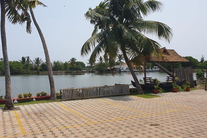 Full Day Kumbalangi Village Tour - Why You Should Consider This Tour