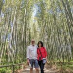 Full-Day Kyoto Walking Tour: Most Iconic Landmarks & Monkeys - Practical Details and Value