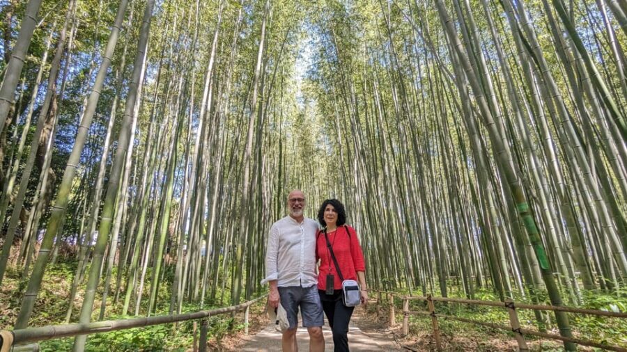 Full-Day Kyoto Walking Tour: Most Iconic Landmarks & Monkeys - Practical Details and Value