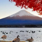 Full day Mount Fuji: Tour with an English speaking Guide - The Sum Up: Is This Tour Worth It?