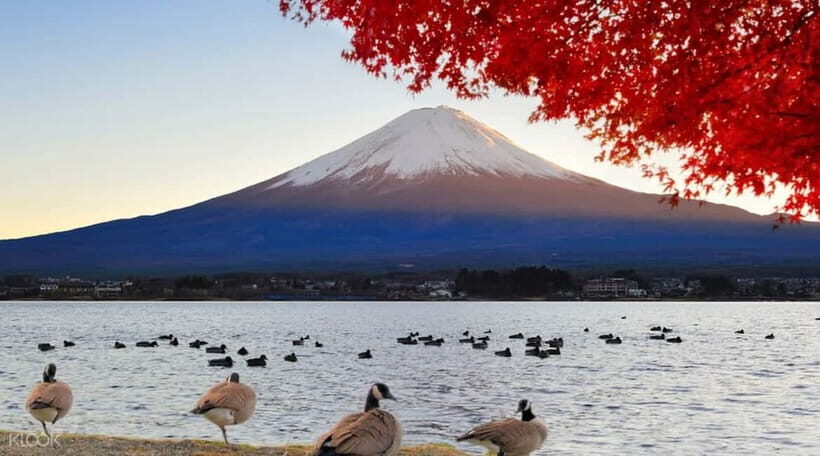 Full day Mount Fuji: Tour with an English speaking Guide - The Sum Up: Is This Tour Worth It?