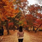 [ Full Day ] Nami Island & Petit France From Seoul - Final Thoughts
