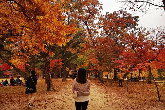 [ Full Day ] Nami Island & Petit France From Seoul - Final Thoughts