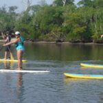 Full-Day Paddle Board Rental in Naples, Florida - Frequently Asked Questions
