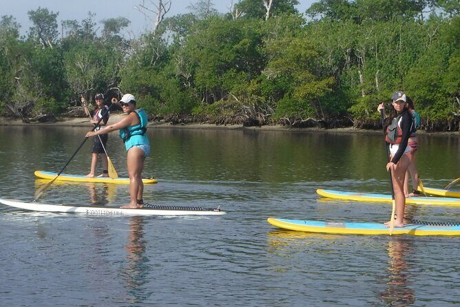 Full-Day Paddle Board Rental in Naples, Florida - Frequently Asked Questions