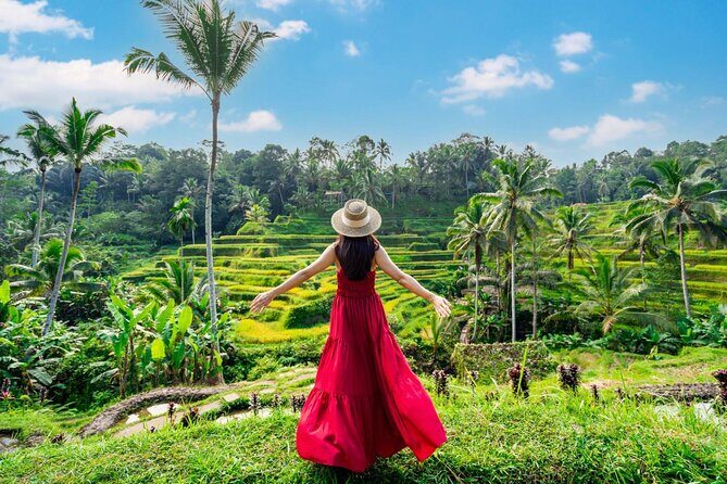 Full-Day Private Car Charter in Bali with Local Guide - FAQs