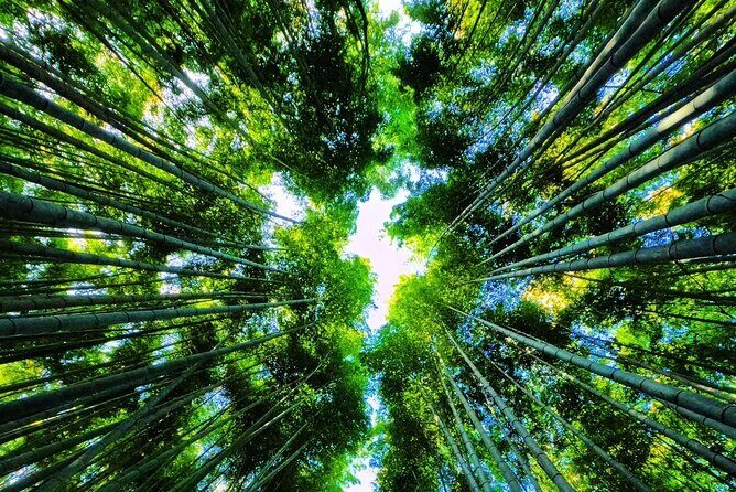 Full Day Private Car Tour in Kyoto - Who Should Consider This Tour?