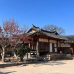 Full Day Private car tour to UNESCO Gyeongju&Yangdong village - Who Should Book This Tour?