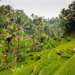Full-Day Private Guided Exploring Bali as You Wish Tour - FAQ