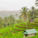 Full-Day Private North Bali Tour with Free WiFi - What to Expect During Your Day