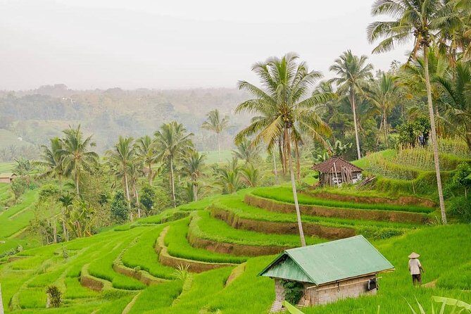 Full-Day Private North Bali Tour with Free WiFi - What to Expect During Your Day