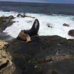 Full Day Private SD Tour from La Jolla - The Value of a Private Guided Day