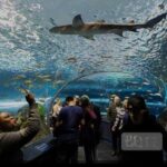 Full Day Private Sightseeing Tour in Toronto - The Sum Up