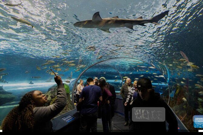 Full Day Private Sightseeing Tour in Toronto - The Sum Up