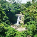 Full Day Private Tour All Inclusive Hidden Gems Bali Waterfall - FAQ