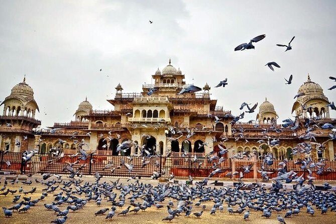 Full-Day Private Tour Heritage of Jaipur with Amber Fort - What Makes This Tour Stand Out?