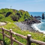 Full-Day Private Tour in Jeju Scenic East Coast - A Deep Dive into the Full-Day Jeju East Coast Tour