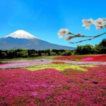Full Day Private Tour in Mt. Fuji and Hakone - Why Choose This Tour?