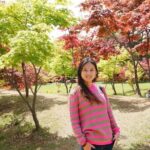 Full Day Private Tour in Nami Island - Why This Tour Offers Good Value