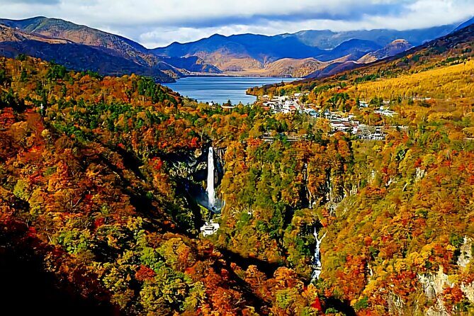Full Day Private Tour in Nikko - Practical Details and Tips